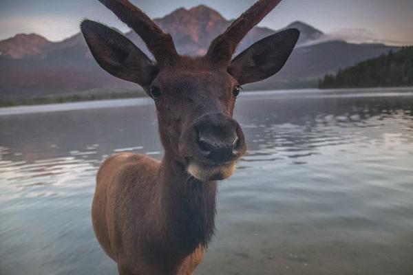 ??隊(duì)記：熱火和德羅贊相互有意 最可能的加盟方式是先簽后換