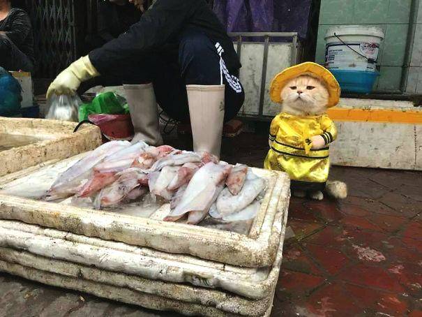 西媒：諾坎普建筑工人工資遭拖欠，職責(zé)方付出150萬(wàn)歐糾正違規(guī)